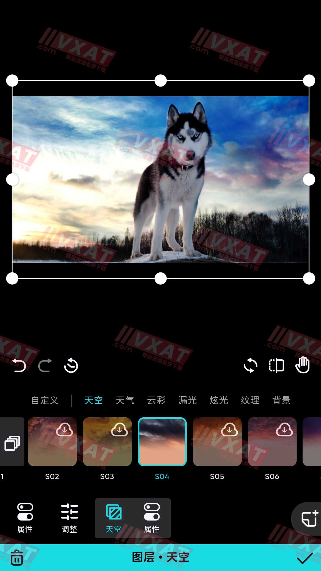 Polarr泼辣修图 v6.7.0 解锁专业版