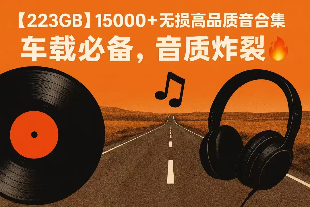 246GB 珍藏级车载音乐大合集（无损/儿歌/DSD/经典怀旧）